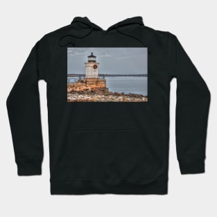 Bug Light Christmas Hoodie